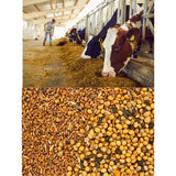 Grain Mill Grinder Electric Commercial Spice Corn Mill Machine with 5 Sieves Dry Grinding Machine for Household/Resturant/Hotel and Farms