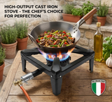 ARTC Heavy Duty Italian Gas Stove Burner LPG Single Burner Cooker Commercial Outdoor Camping & Catering Stove Strong Square Frame for Large Pots & Woks with 6mtr Hose & Regulator