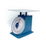 Camry Dial Spring Scale